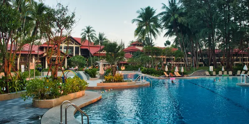 Henné : 15 Idées Déco et Organisation